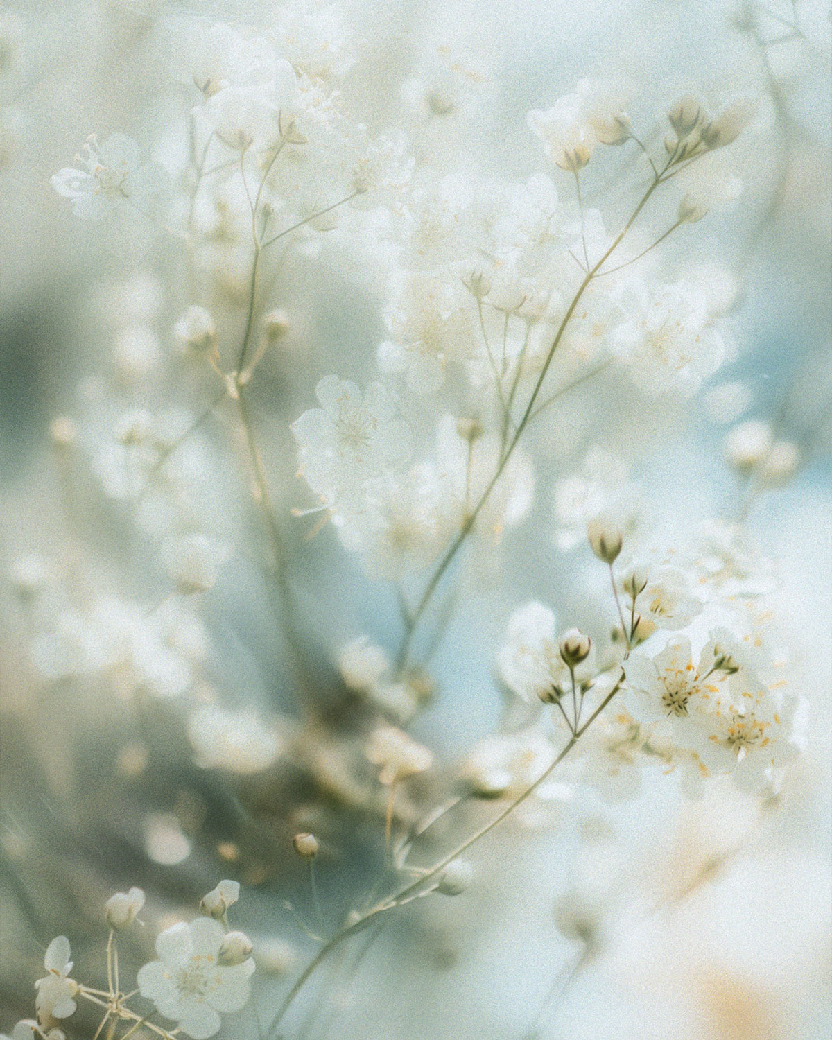 Inner Horizon Counselling