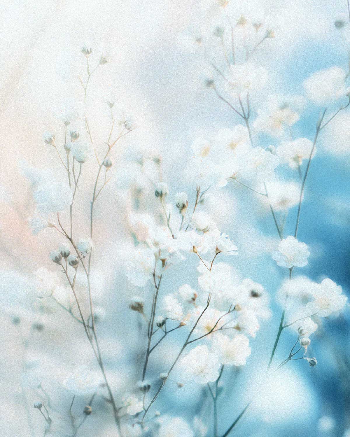 Inner Horizon Counselling