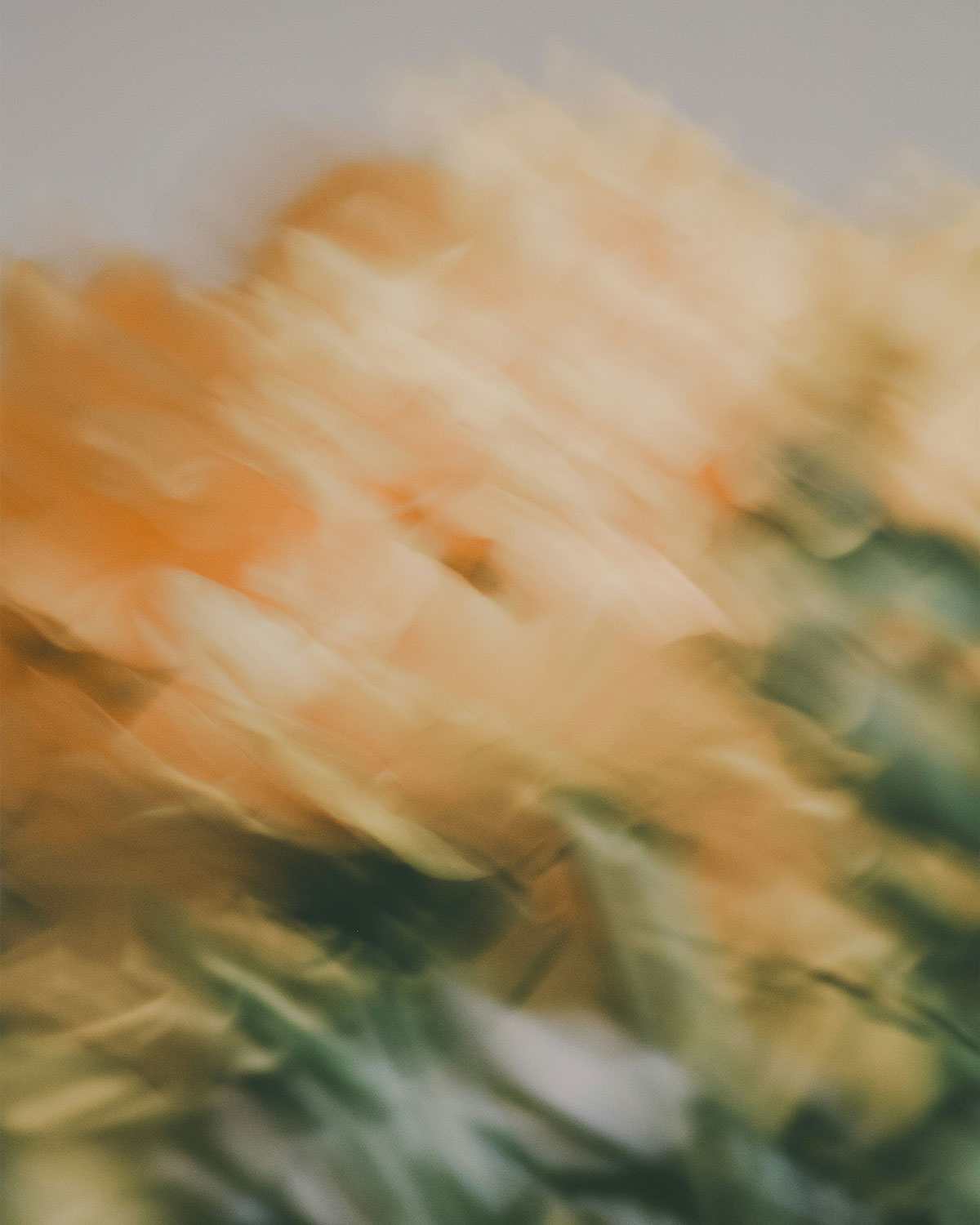 Inner Horizon Counselling