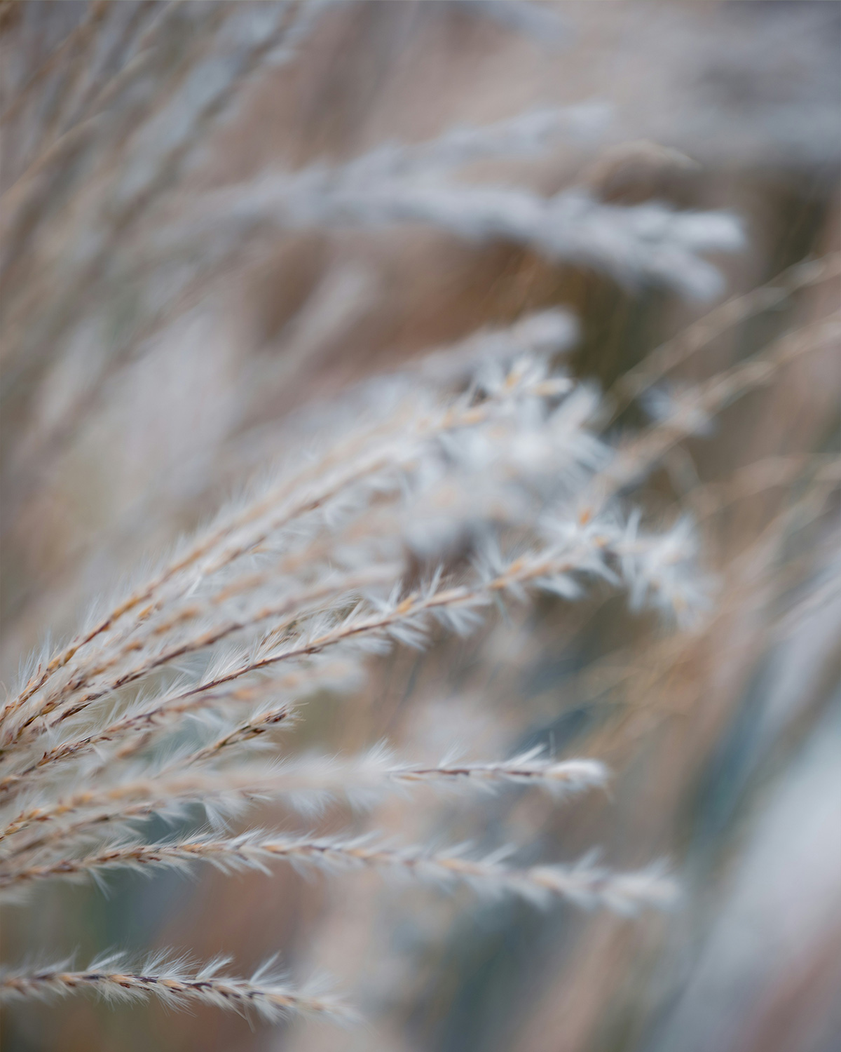 Inner Horizon Counselling