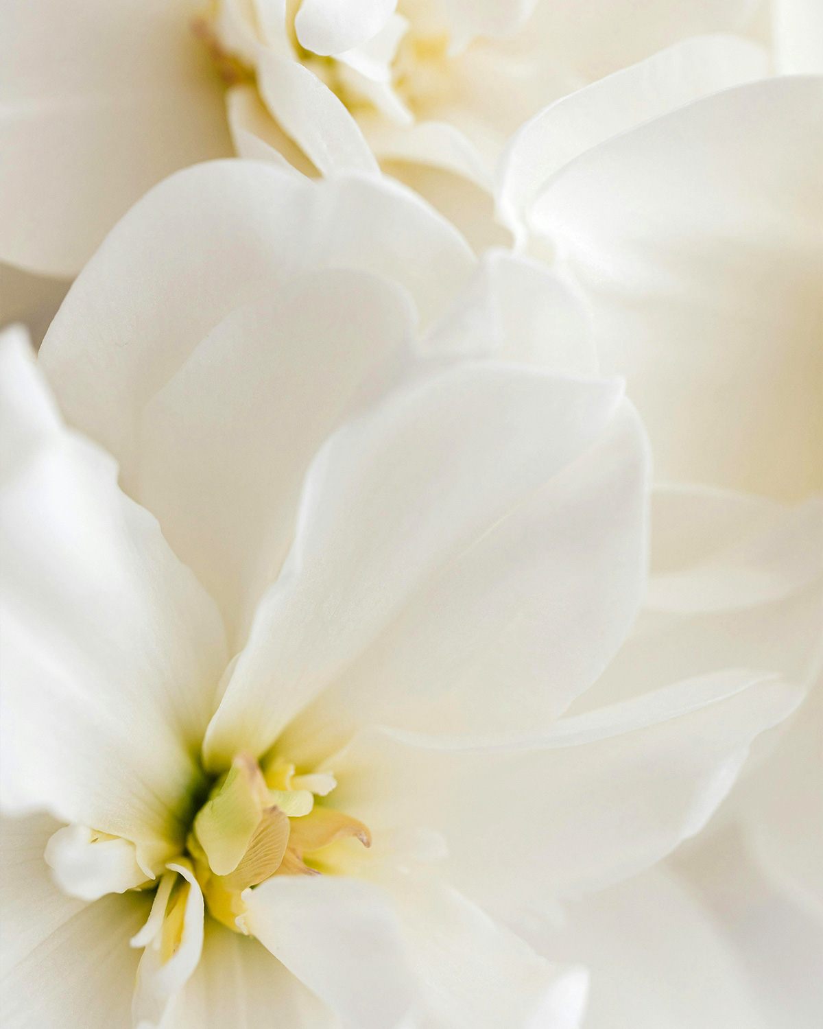 Inner Horizon Counselling