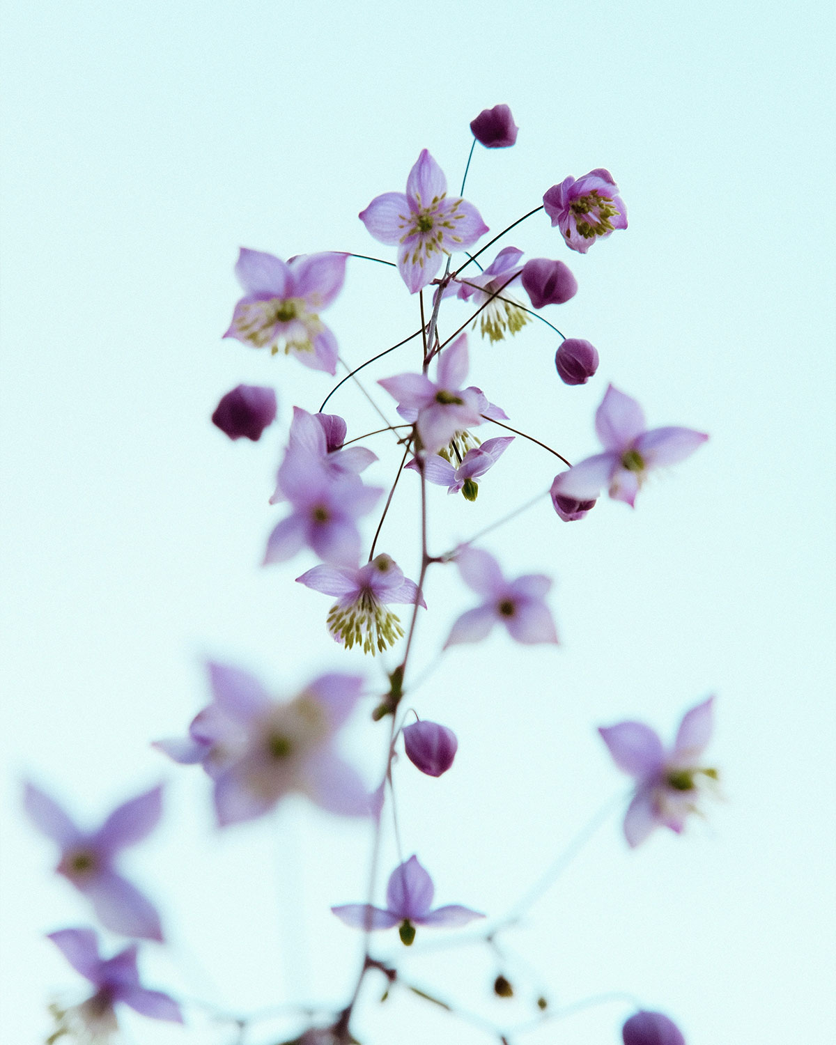 Inner Horizon Counselling