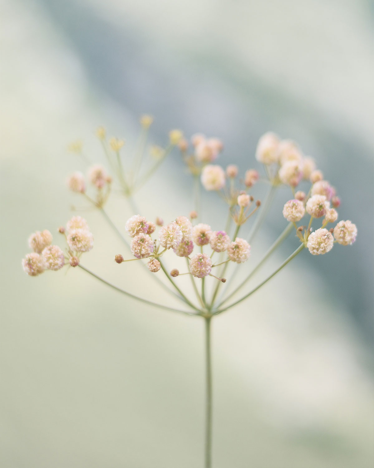 Inner Horizon Counselling